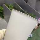 터미널시장 | 고속터미널 꽃시장 다녀온 후기 | 강남 고터 꽃시장 6만원으로 꽃다발 15개 만들었다