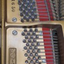 예쁜손음악학원 이미지