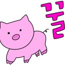 나그네야식 이미지