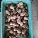 죽곡농장 이미지