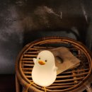 수원역카페 애견동반 가능한 감성 카페 언올드첨 내돈내산후기