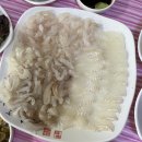 바다회센타 이미지