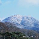 고비고개로 이미지