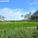 경주초 화천분교 이미지