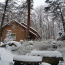 자연미림 이미지