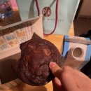 이탈리아 베니스 교환학생 Day 69 : 헤이그 갔다가 쾨켄호프 튤립 보러 가기