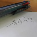 항돈