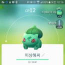 쥐피에스 이미지