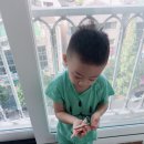 민호네집