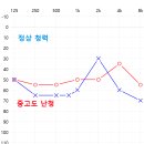 덴마크오티콘보청기 이미지