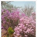 답십리부동산공인중개사사무소 이미지