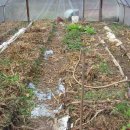 서삼농장 이미지