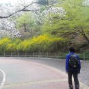 남산의원 이미지