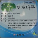 성남시립식물원은행자연관찰원 티스토리