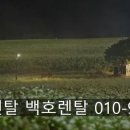 임대길농장 이미지