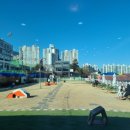 펫토피아(PETOPIA) 이미지