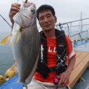 국제유선(해피호) 이미지