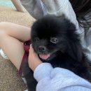 호호