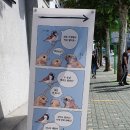 이스포츠카페PC 이미지