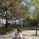 아우토반키즈카수원 이미지