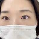 디벨르뷰티 네이버블로그
