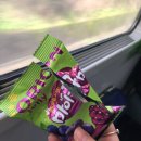 더하우스호스텔 | 리스본에서 포르투 기차 이동, 상벤투역, 더 하우스 오브 샌드맨 호스텔 후기