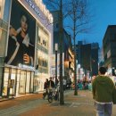 교동 이미지