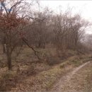 경기도 안성시 고삼면사무소 이미지