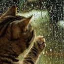 당당한 삶 이미지