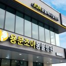 용문동물병원 이미지