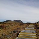 완산-143 이미지