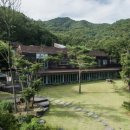 힐리언스 이미지