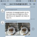 마곡M동물의료센터 이미지