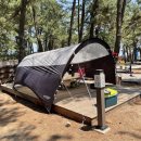 맹방비치캠핑장 이미지