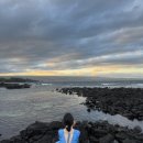 태양팜스 | 영어 듣기 평가 제대로 하고 온 그린웰팜스 커피농장 투어 후기+ 빅아일랜드의 찐은 힐로. 힐로 지역...