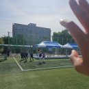 담양동초등학교 네이버블로그
