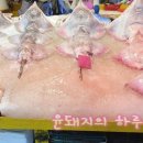 룰루상회