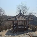 DMZ 평화의 길 16-2코스(고석정 - 남대천교) 걷기 - 2025.04.07