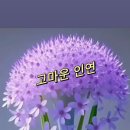 마음이온다 이미지