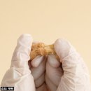 토리덴탈 이미지