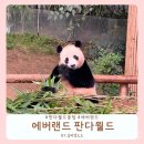 에버랜드 판다월드 꿀팁 스마트 줄서기 후이 루이와 아이바오 먹방