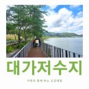 고성군청 | 19개월 아기와 떠난 고성 여행 🌼 대가저수지에서 힐링 산책