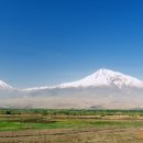 하윌라(Havilah) 이미지