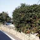 영신마을 이미지