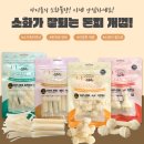 꼬리연구소 이미지