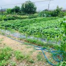 완산-148 이미지