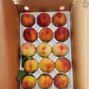 용천농원 | 농원의 직접체험도 같이 신선농원 양양복숭아파는곳