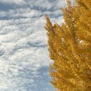 석남사 3호점 | 울산 단풍 명소 석남사 후기