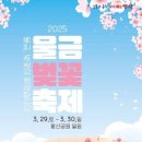 용평사거리 이미지