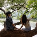 나무새 관광농원 이미지